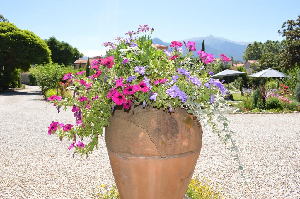 Villa Lafabregue พุราเดส์ ภายนอก รูปภาพ